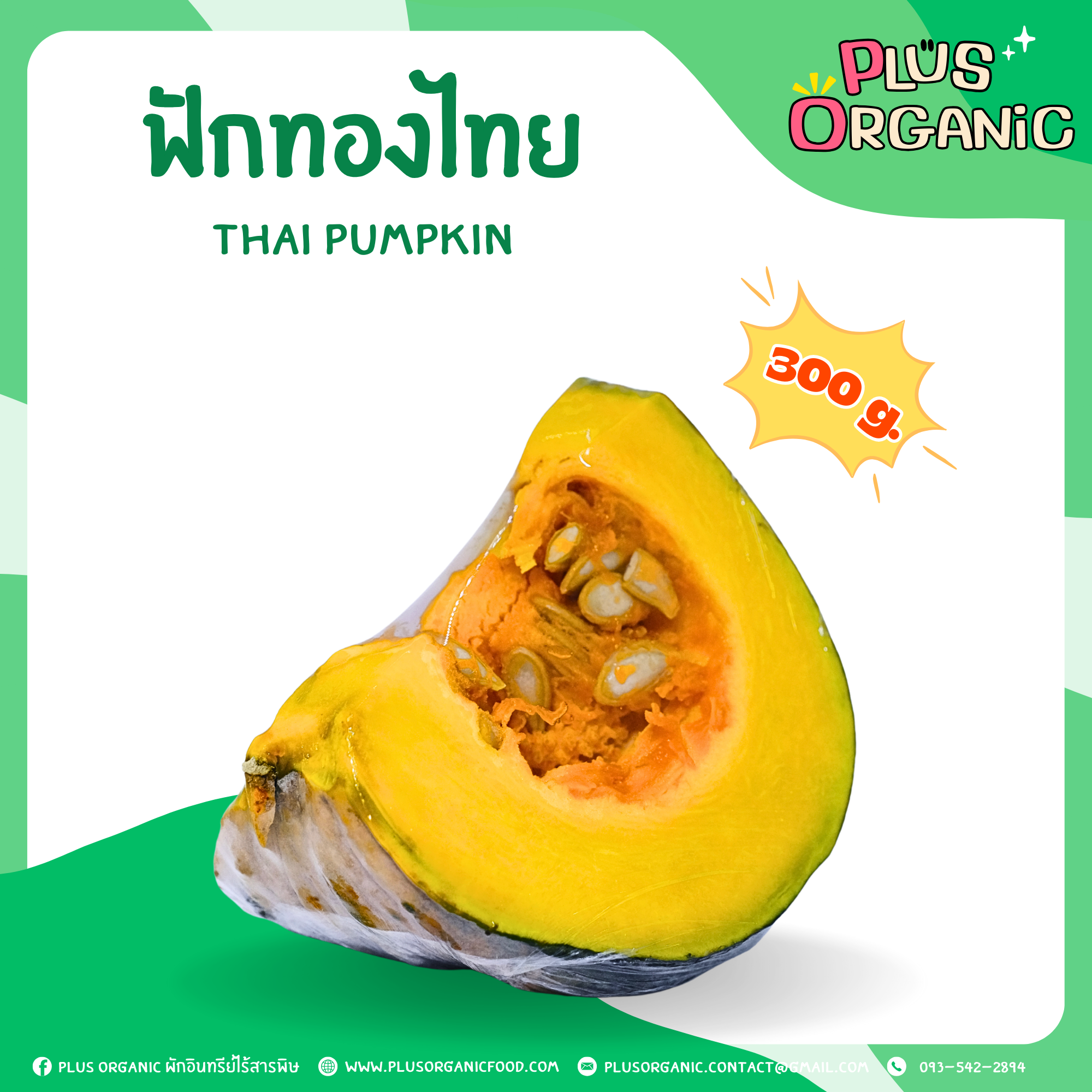 ฟักทองไทย ออร์แกนิค - Organic Pumpkin