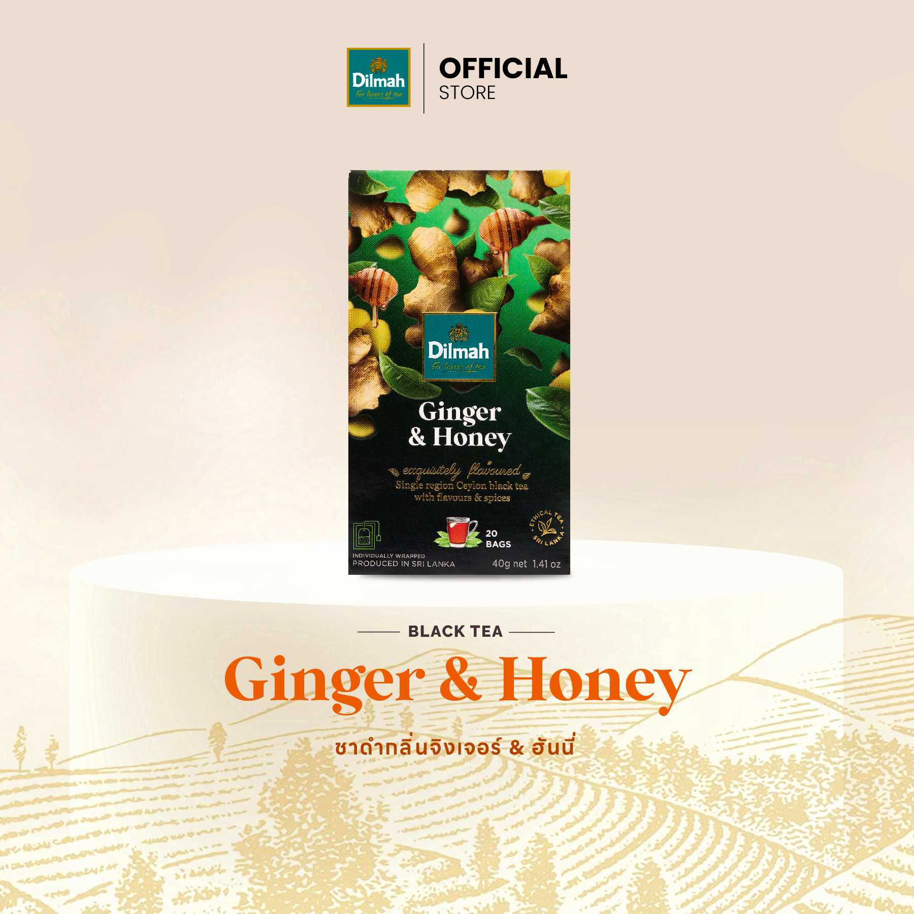 ดิลมา ชาซอง ชาดำ กลิ่นจิงเจอร์ แอนด์ ฮันนี่ 20 ซอง(Ginger&Honey)