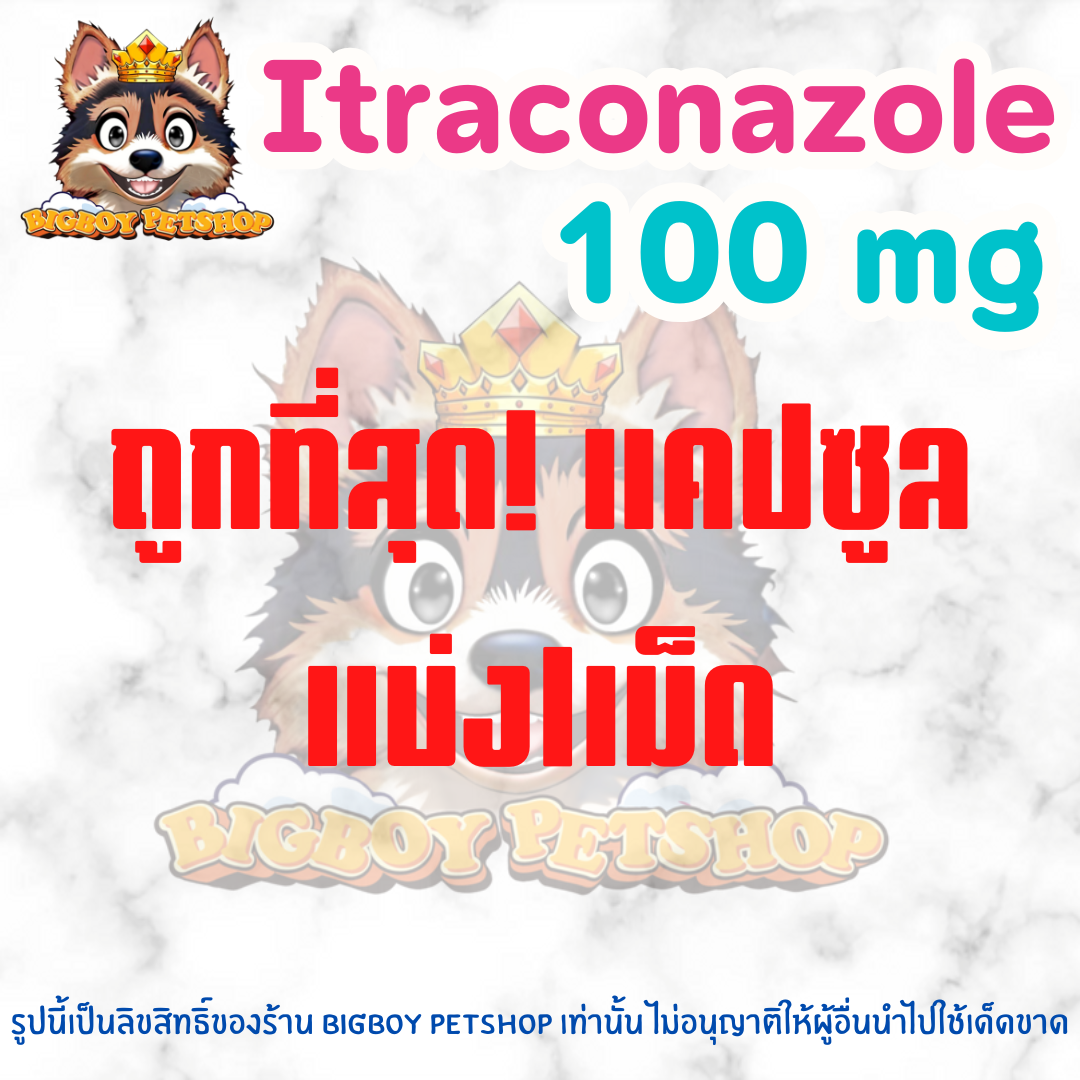 Itra 100 mg สำหรับสัตว์เลี้ยง แบ่ง 1 เม็ด