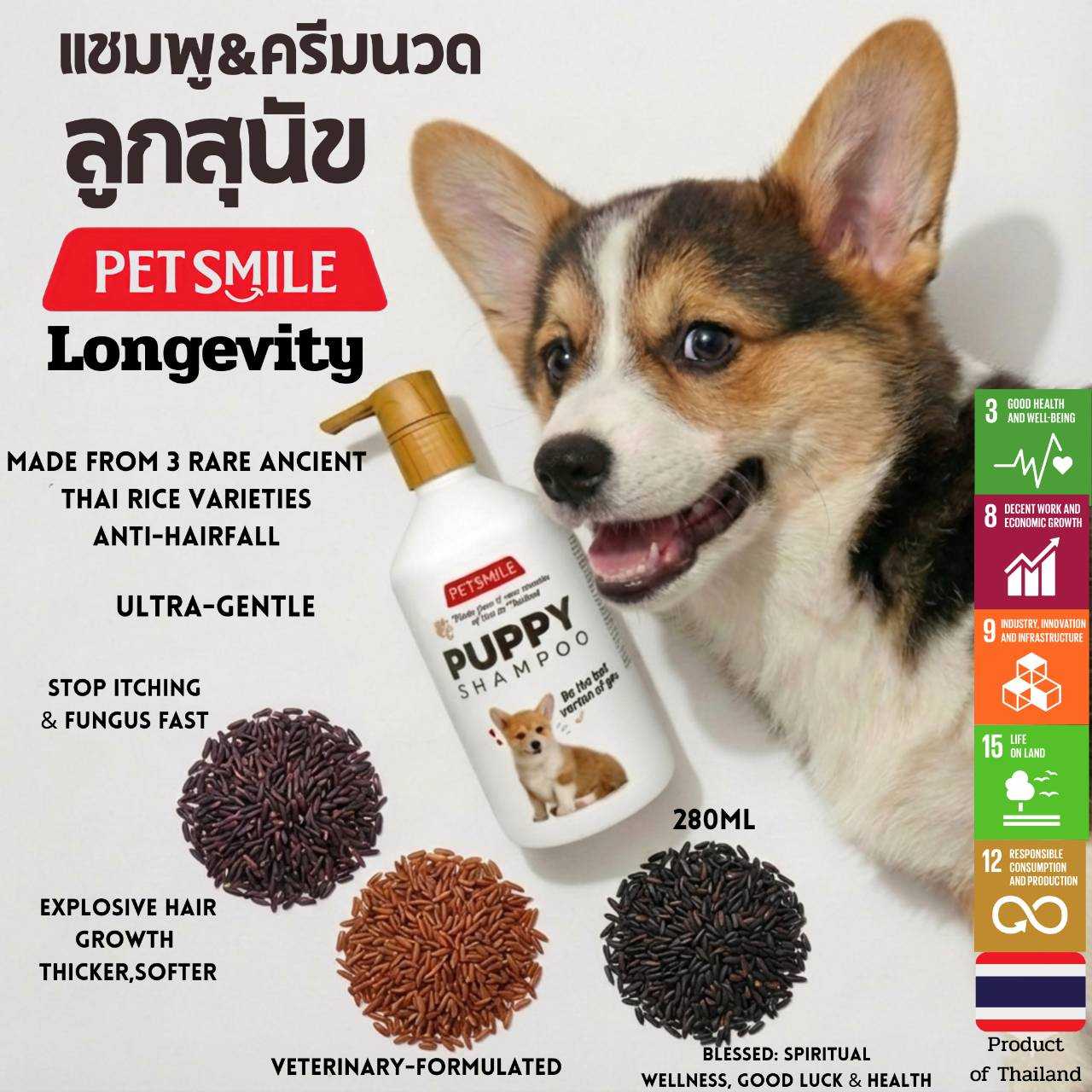 แชมพูลูกสุนัขออแกนิคPETSMILE ผิวแพ้ง่าย ลดผดผื่นคัน กลากเกลื้อนน้ำนม ทีมสัตวแพทย์ 280ml