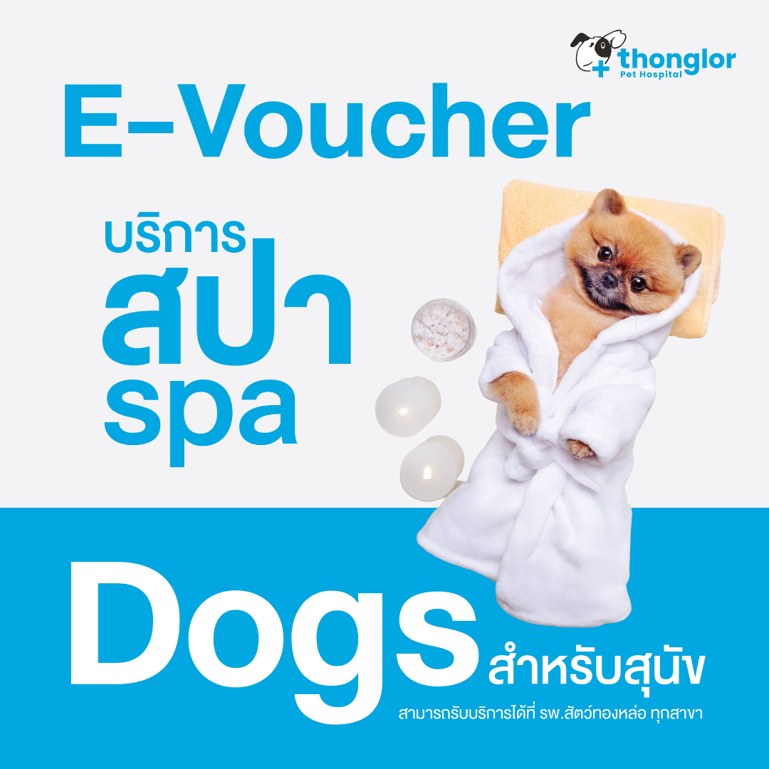 (E-Voucher) Thonglor Pet Care Grooming Spa for Dogs - สปา สำหรับสุนัข