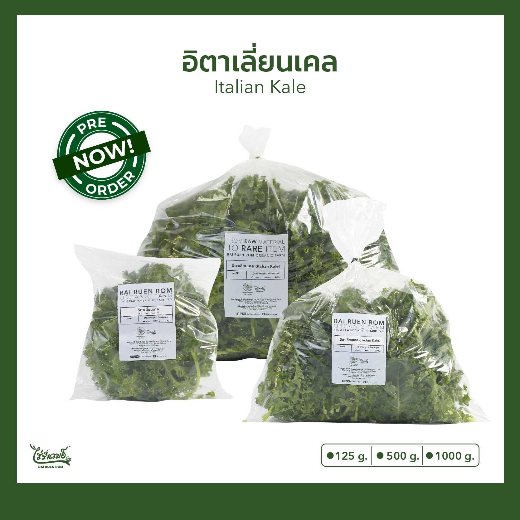 สินค้าแช่เย็น - อิตาเลี่ยนเคล [เกรด เอ-บี] : Italian Kale [Grade A-B]