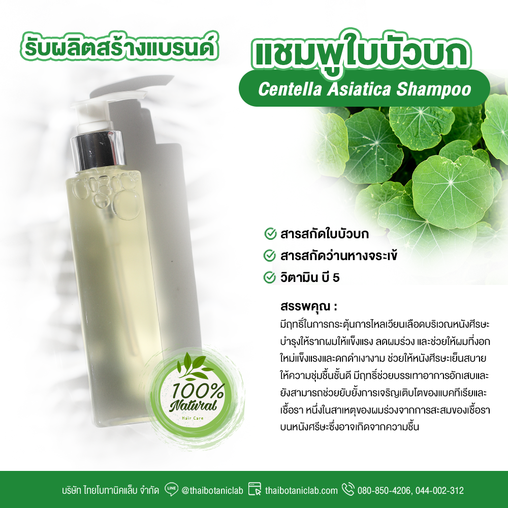 แชมพูใบบัวบก Centella Asiatica Shampoo 150 ml