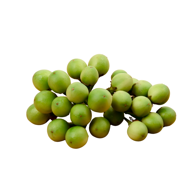 มะเขือพวง 150g