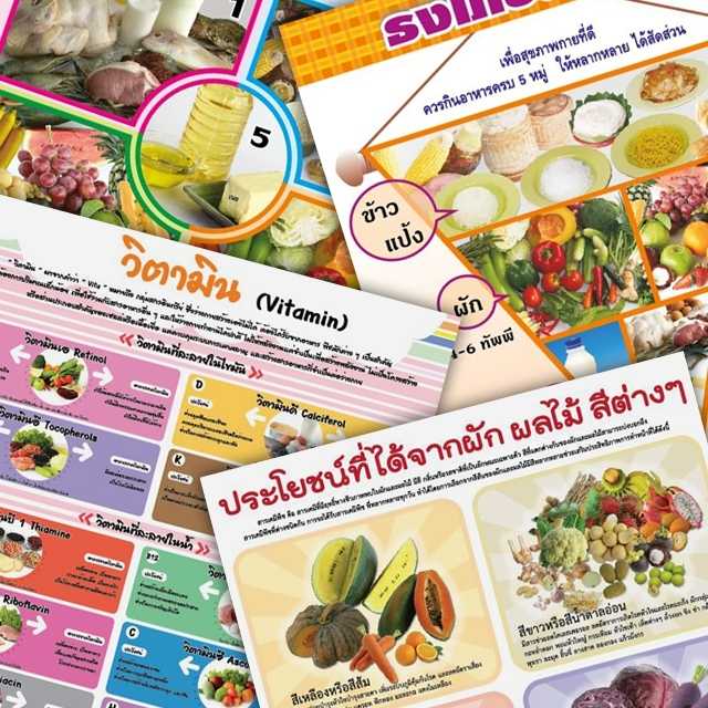 โปสเตอร์พลาสติก  PP วิชาสุขศึกษา  โภชนาการ