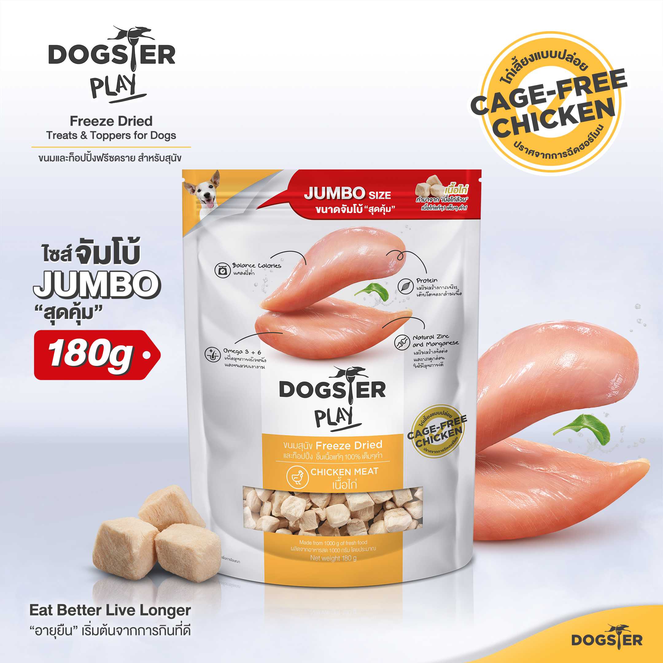 NEW! JUMBO Size 180g. Dogster Play Chicken Meat formula