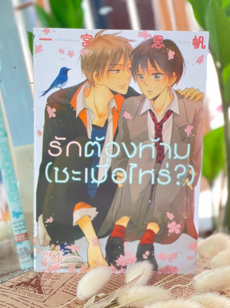 รักต้องห้าม (ซะเมื่อไหร่)