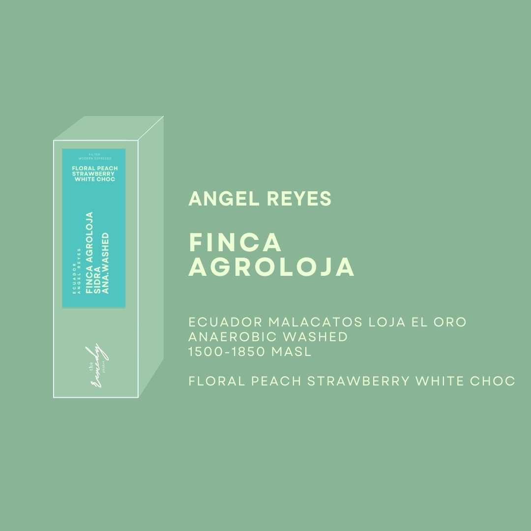100 g Ecuador finca Agroloja Sidra ana washed