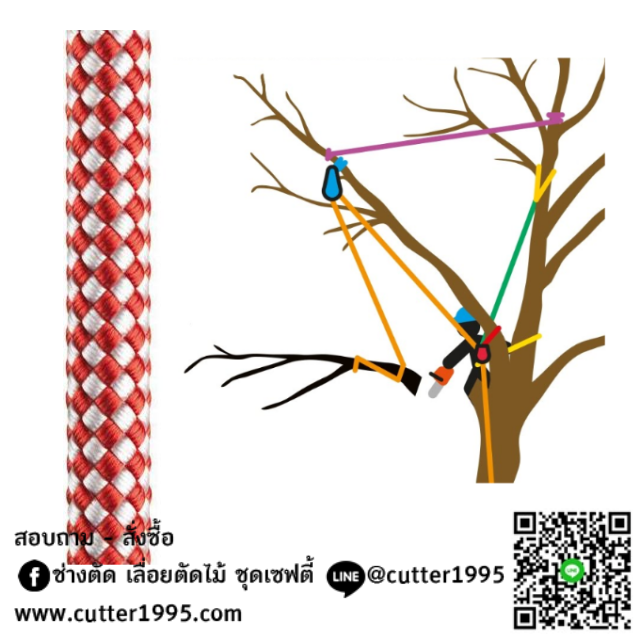 เชือกสำหรับโยงกิ่งไม้   Tree Rigging Line 14mm 48kN ยาว 60 เมตร