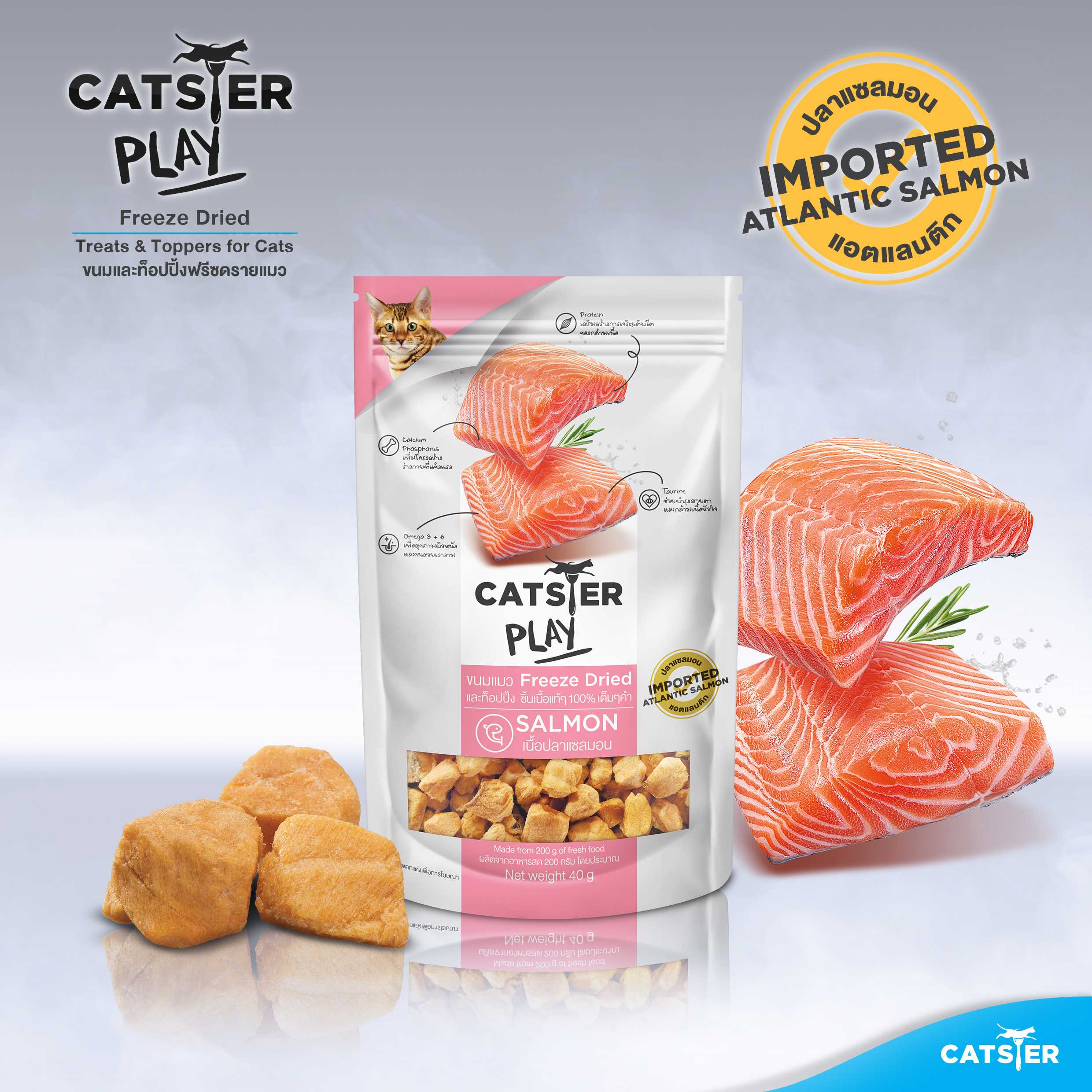 Catster Play Salmon formula
