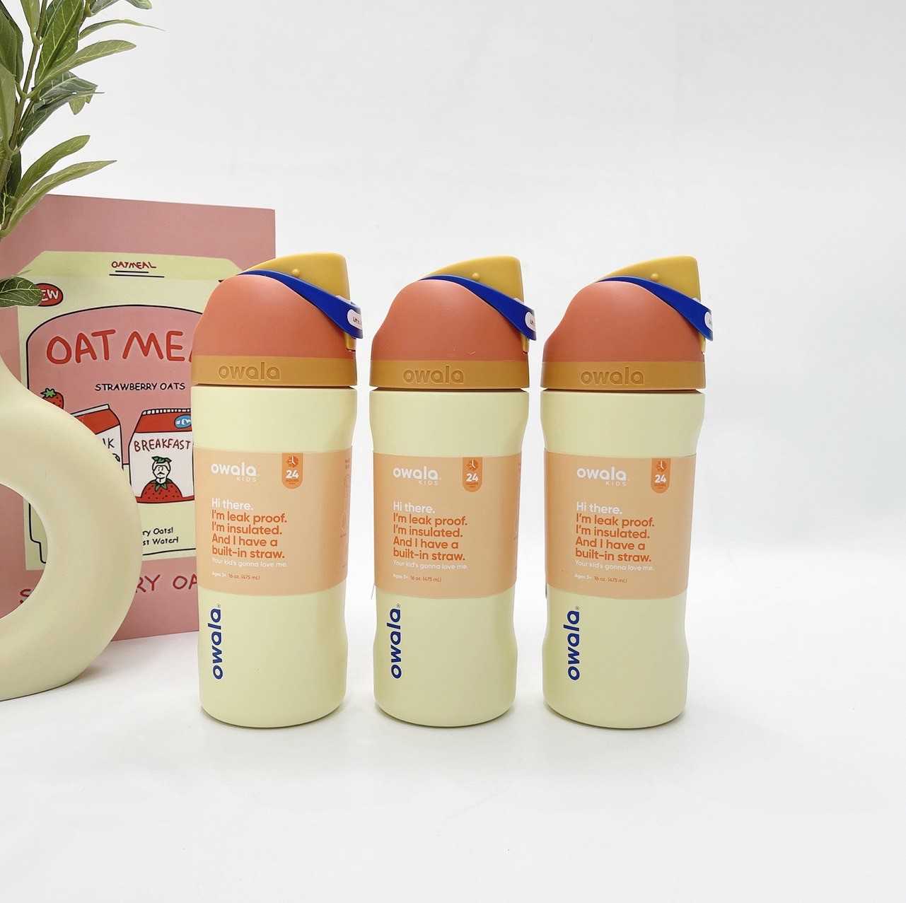 Owala FreeSip 16oz (Misty Horizon)