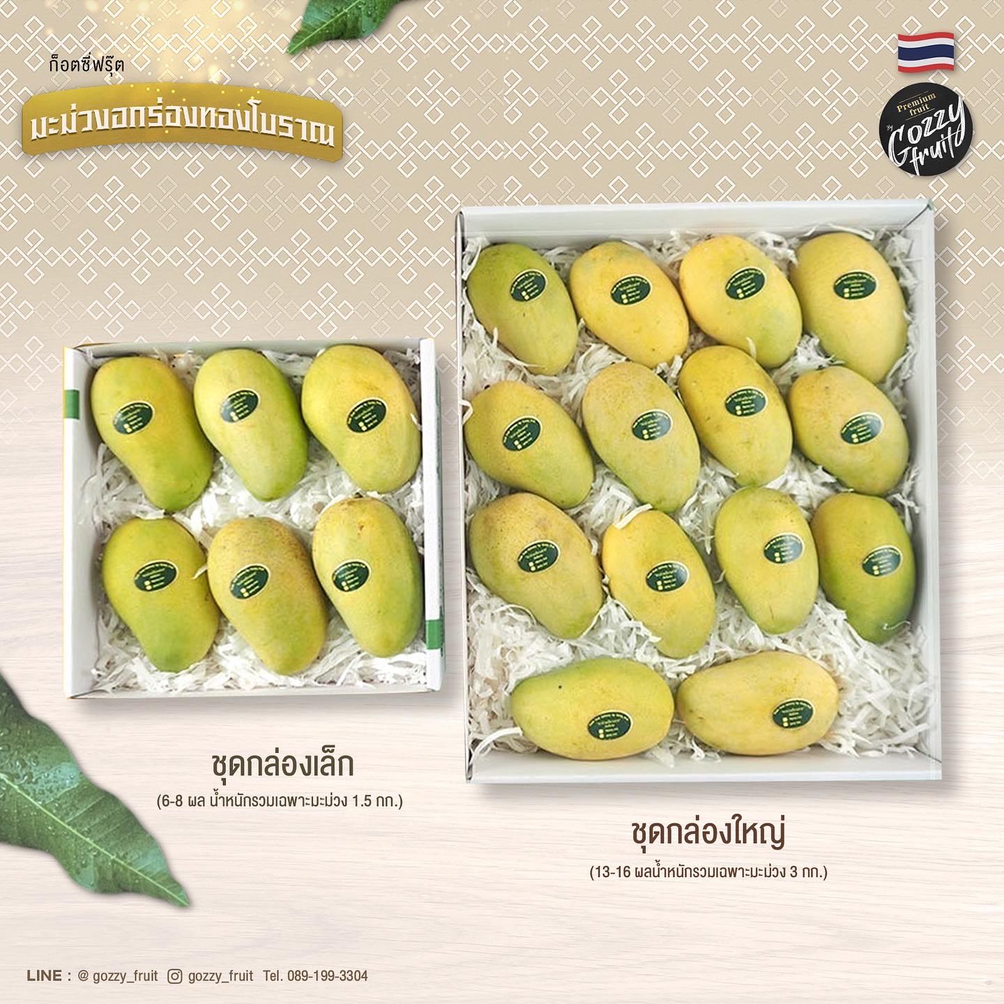 มะม่วงอกร่องทองโบราณคัดพิเศษ ยอดนิยม
