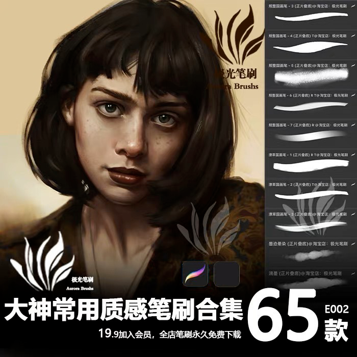 BTE006 Procreate บรัชพื้นผิว  Popular 65 บรัช