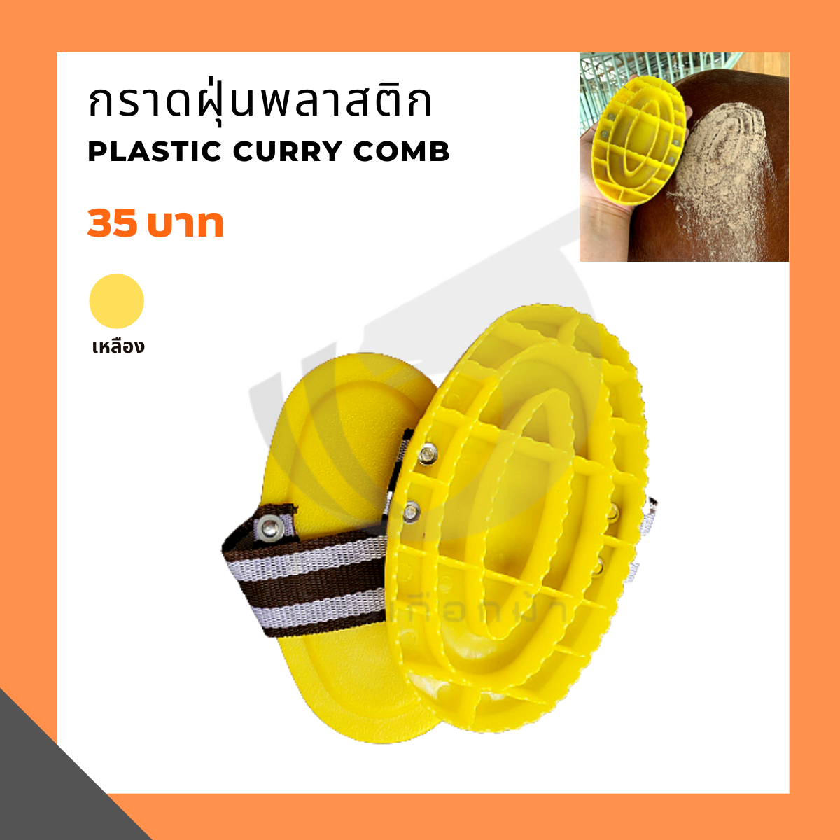 กราดฝุ่นพลาสติก Plastic curry comb