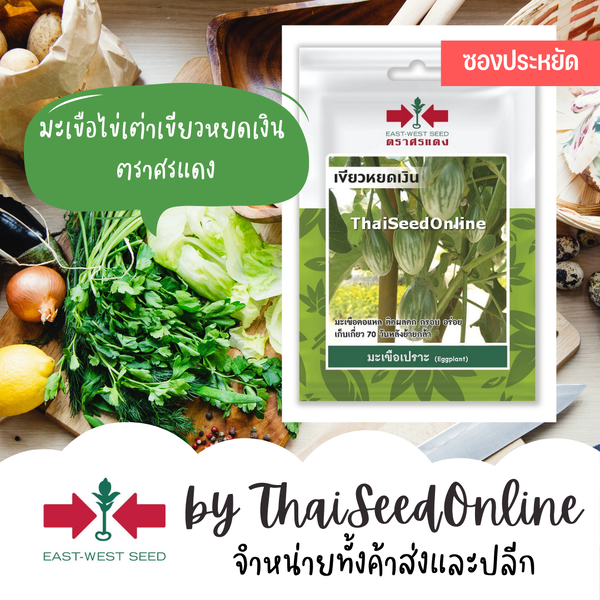 ศรแดง VP3 ซฟ เมล็ดพันธุ์ มะเขือตอแหล เขียวหยดเงิน 100เมล็ด ตราศรแดง Small Eggplant