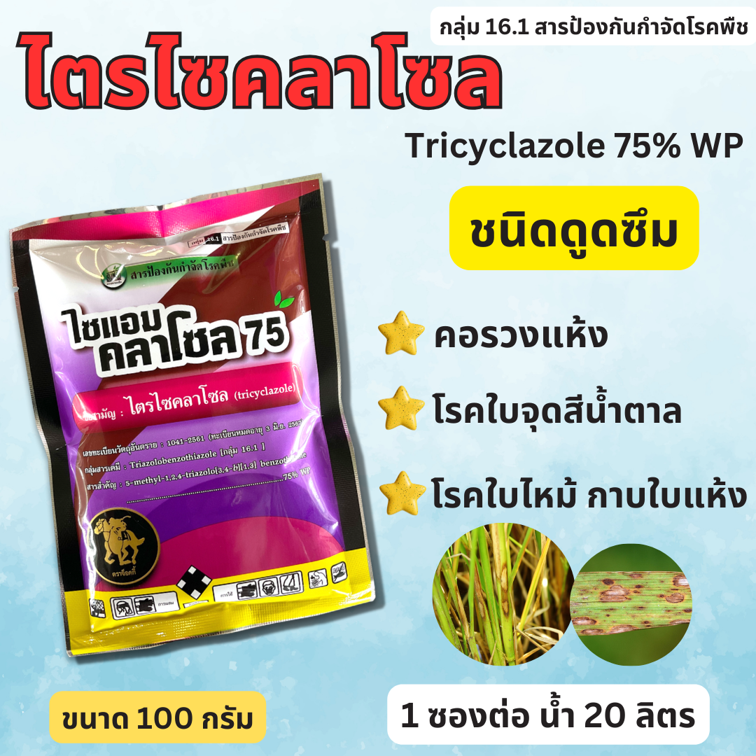 ไซแอมคลาโซล สารไตรไซคลาโซล ขนาด100 กรัม Tricyclazole สารเดียวกับ บีม 75 ดับบลิวพี