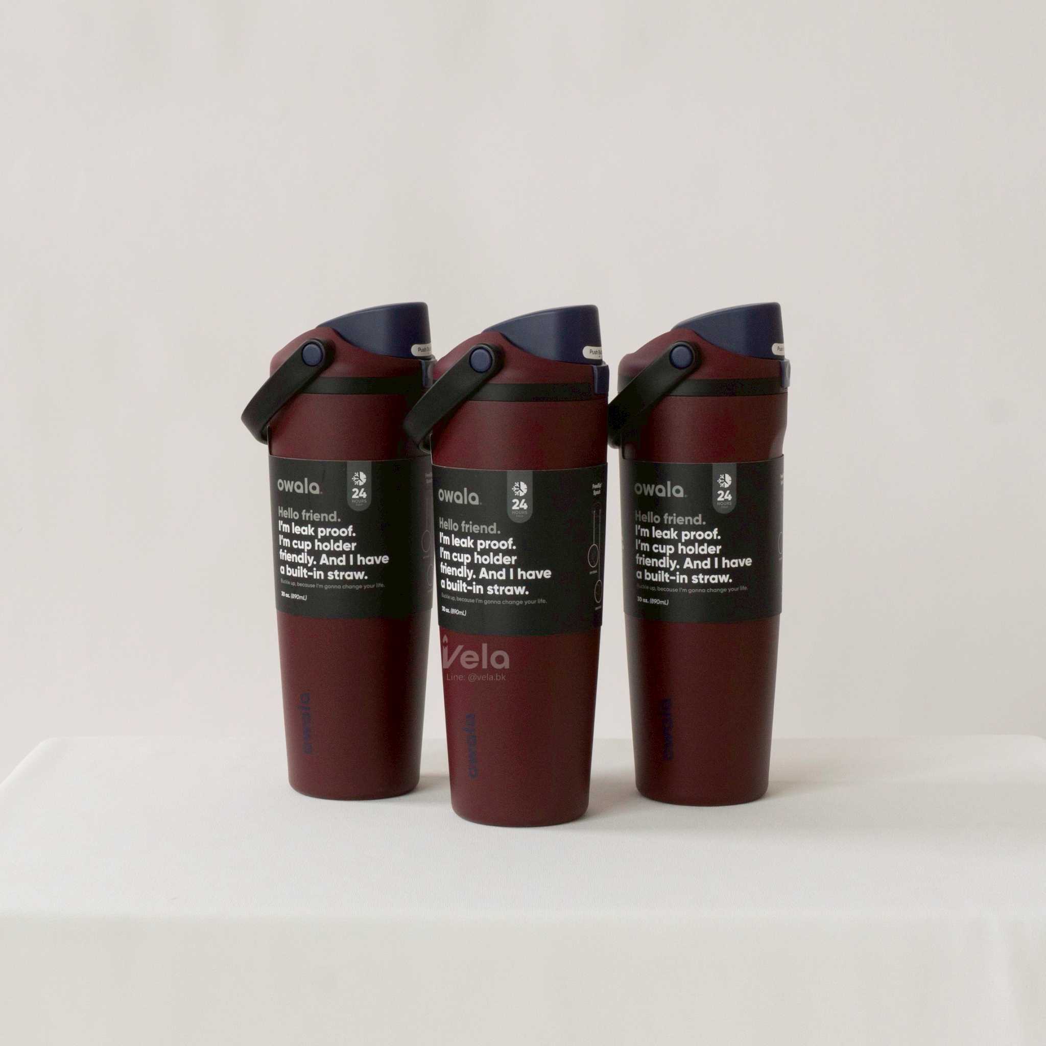 Owala FreeSip Sway 30oz (Plum)