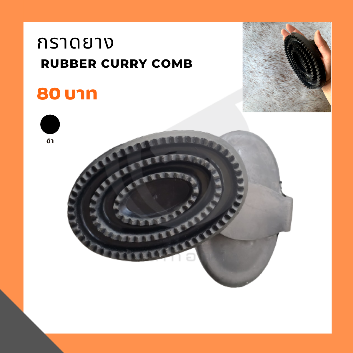 กราดยาง  rubber curry comb