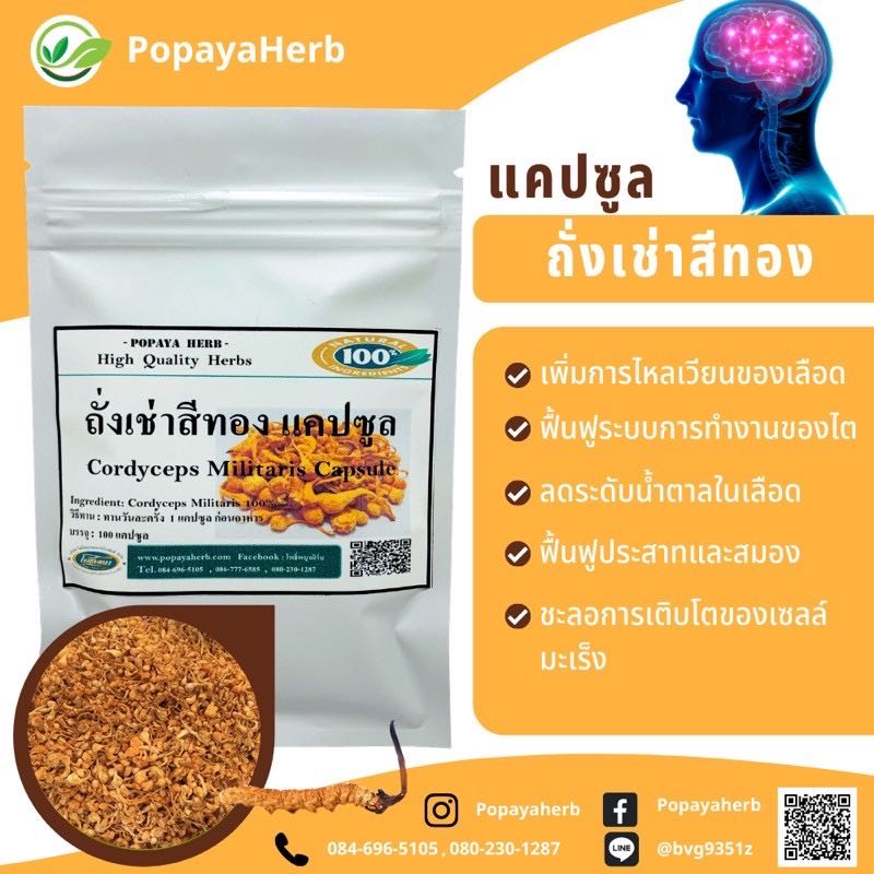 แคปซูล ถังเช่า(Cordyceps)100% เสริมภูมิคุ้มกัน ชลอวัย