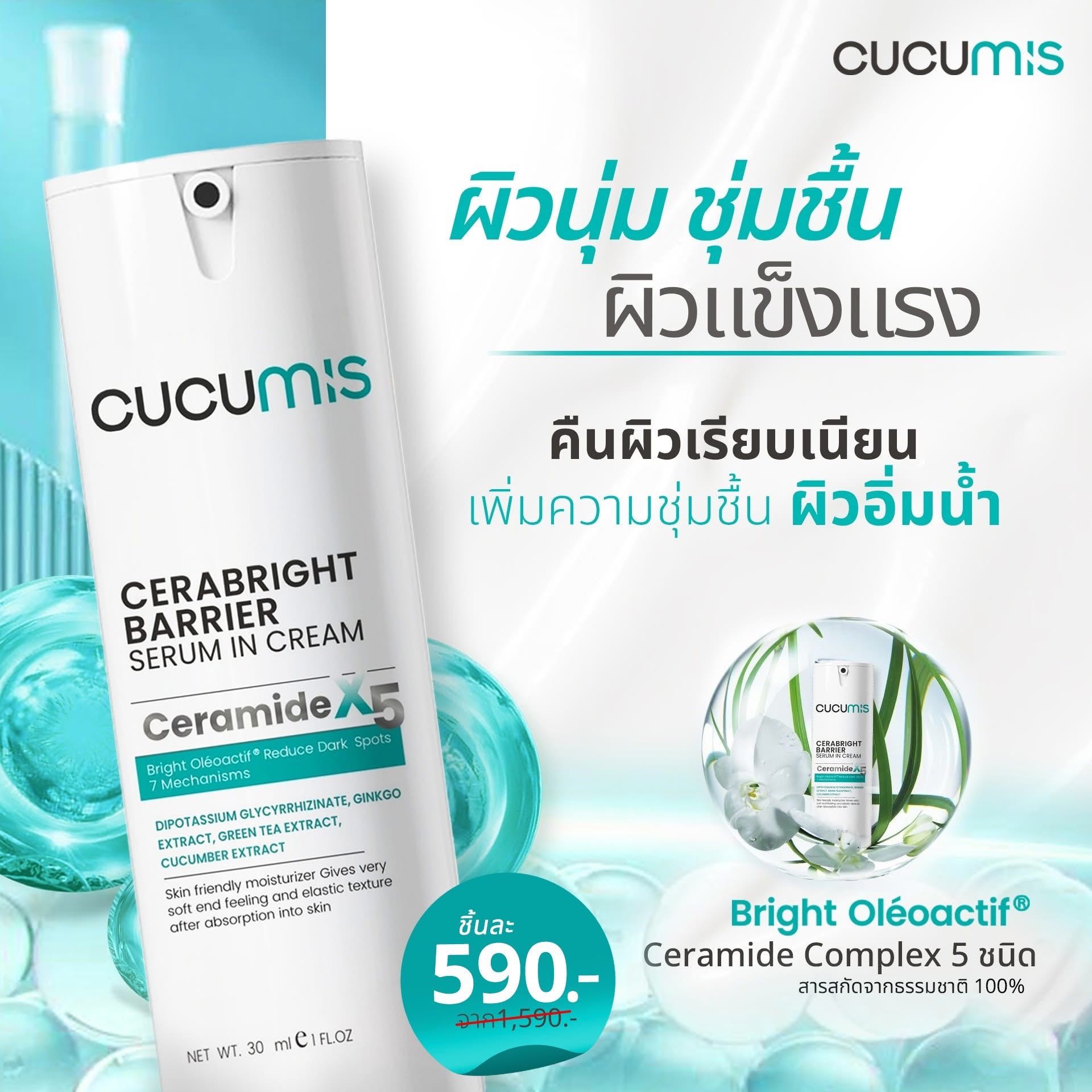 CERABRIGHT (Cucumis)