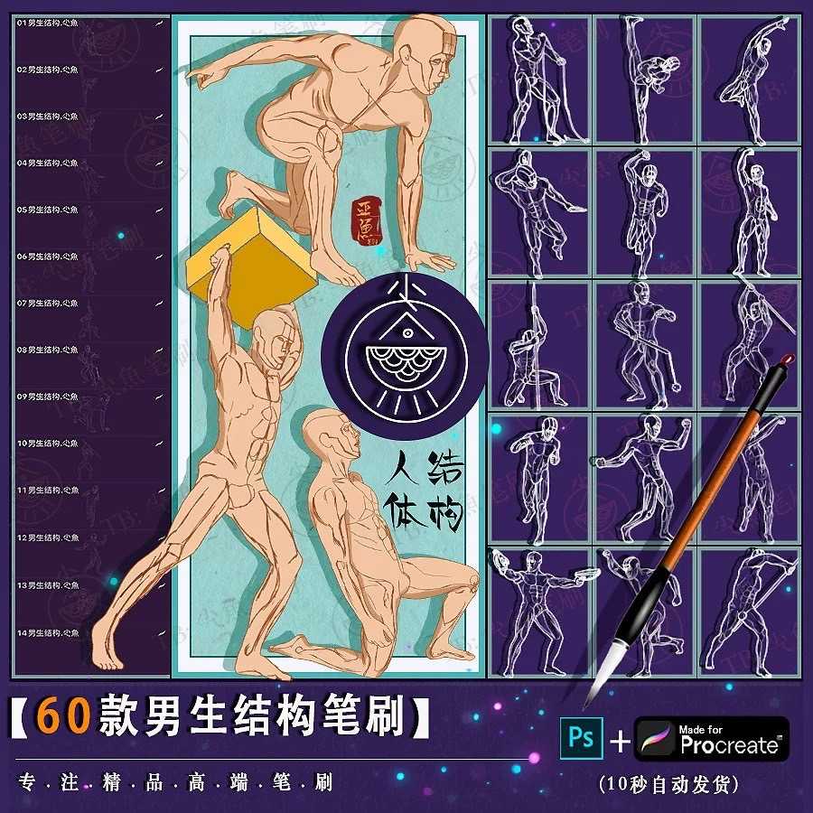 BBO039 Procreate PS บรัชเบส ผู้ชาย กายภาพ โครงร่าง 60 บรัช