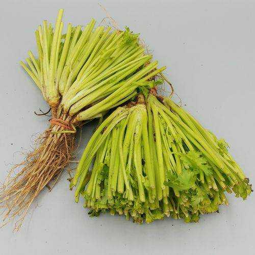 รากผักชี 100g ผักปลอดภัย