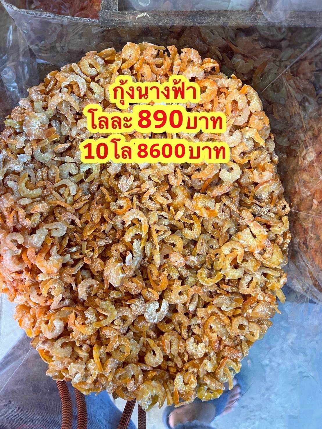 กุ้งนางฟ้าขนาด500กรัม