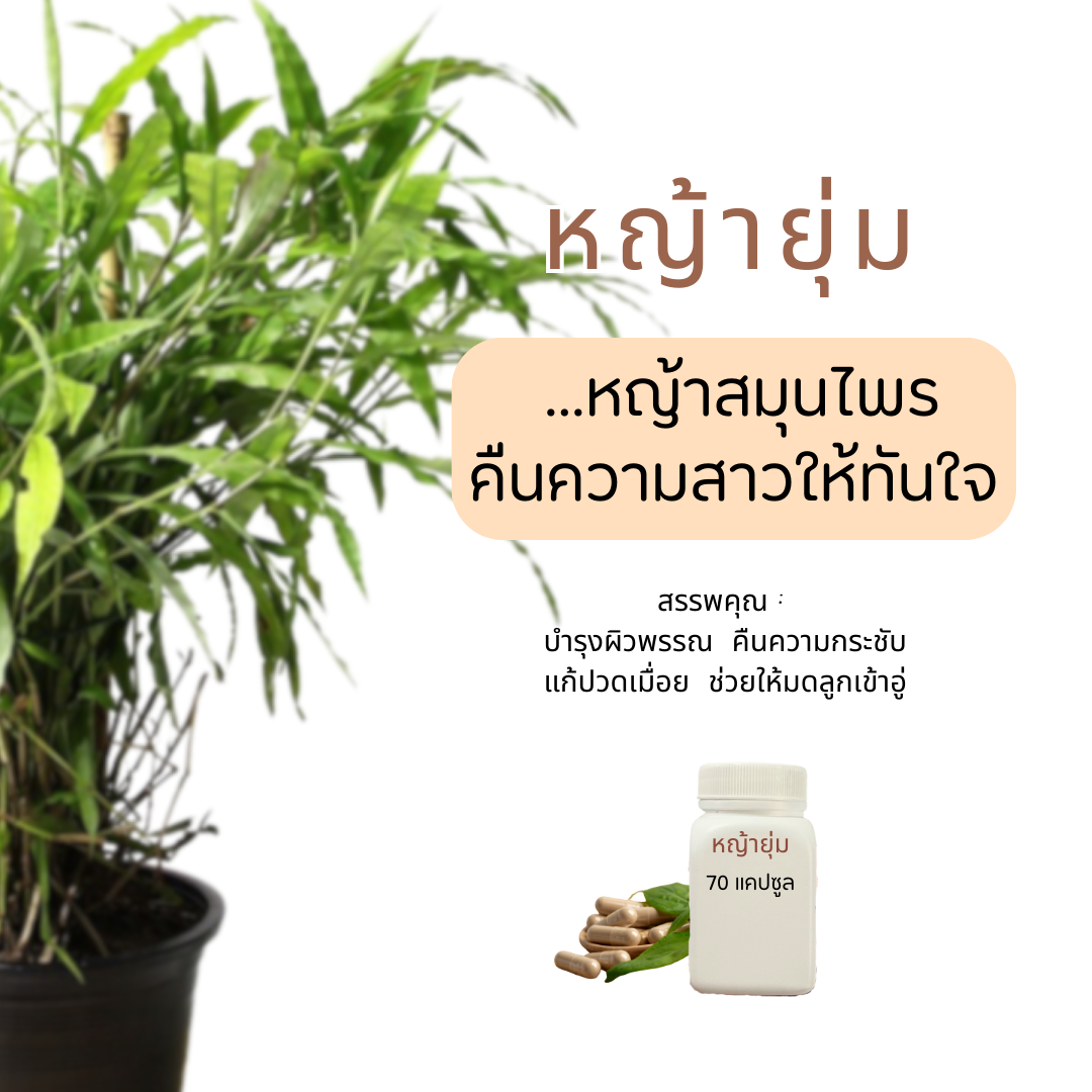 ยาแคปซูลหญ้ายุ่ม  คืนความกระชับ 70 แคปซูล