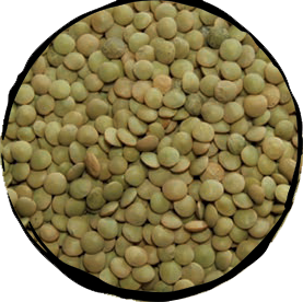 Lentils Small Dry - 500gr