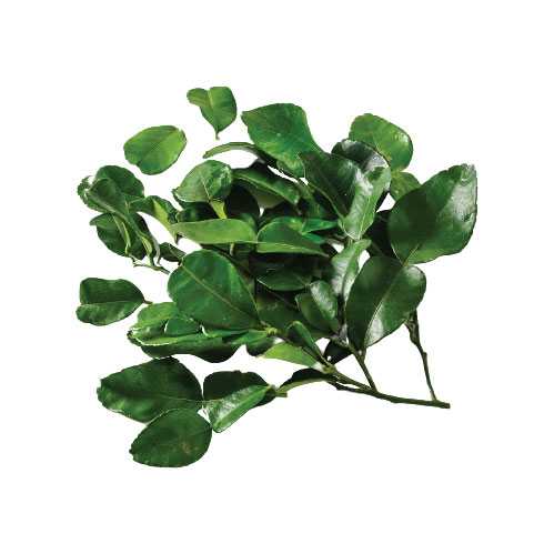 FG12014 ใบมะกรูด Kaffir Lime Leaves ( 30g )