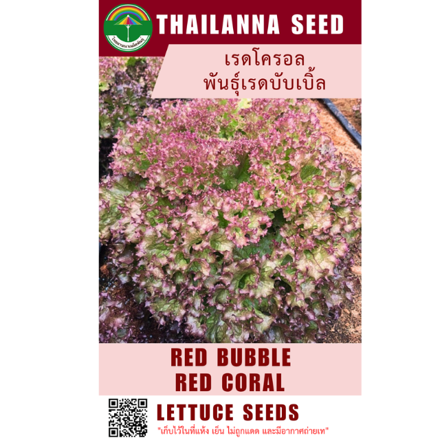 เรดโครอล พันธุ์เรดบับเบิ้ล ( ขนาด 10 กรัม ) รหัสสินค้า 1013