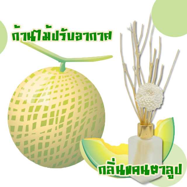 REED DIFFUSER ก้านไม้ปรับอากาศ กลิ่น แคนตาลูป
