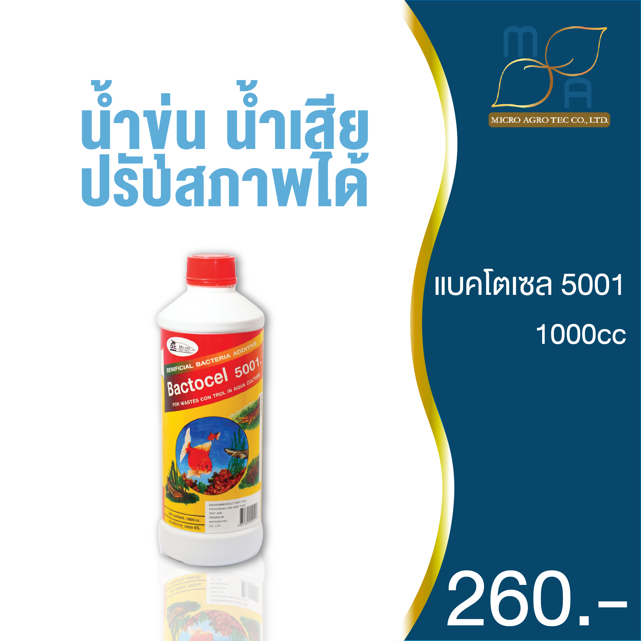 แบคโตเซล 5001 1000cc จุลินทรีย์น้ำใส แก้น้ำขุ่น บ่อปลา น้ำพัก ลดตะไคร่น้ํา
