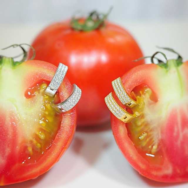 Fonney ต่างหู สแตนเลสแท้ไม่ลอกไม่ดำ