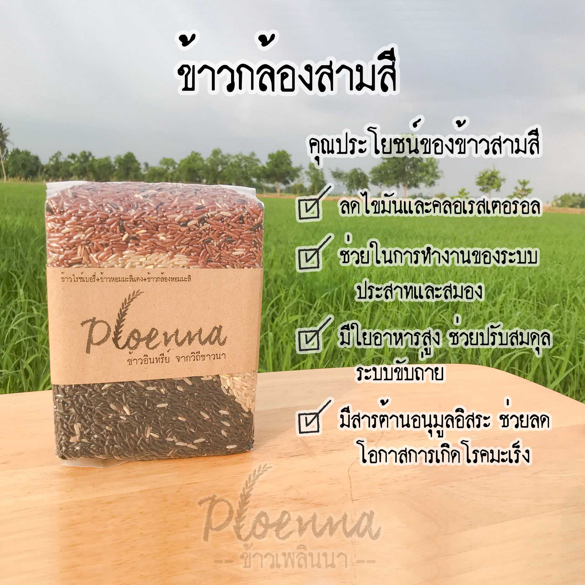 ข้าวสามสี เพลินนา