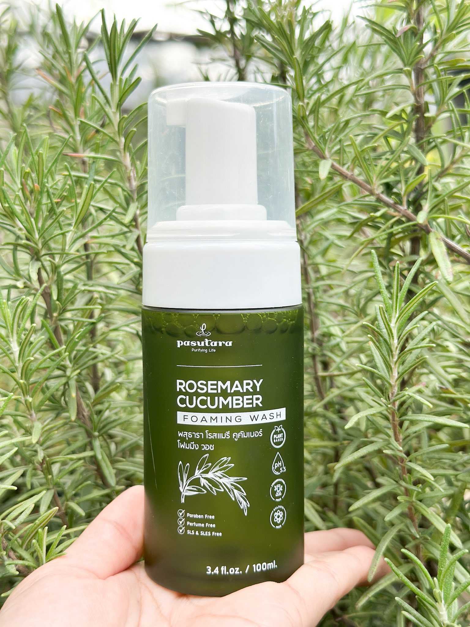 Rosemary Cucumber Foaming Face wash  โฟมล้างหน้า ดรสแมรี่ แตงกวา และว่านหางจระเข้