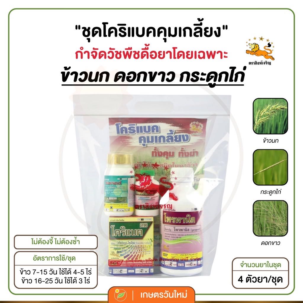 ￼👩🏻‍🌾 โคริแบคคุมเกลี้ยง ชุดคุมฆ่า หญ้าดื้อยา ข้าวนก ดอกขาว กระดูกไก่ 1 ชุด 5 ไร่ สำหร้บข้าว 7-14 