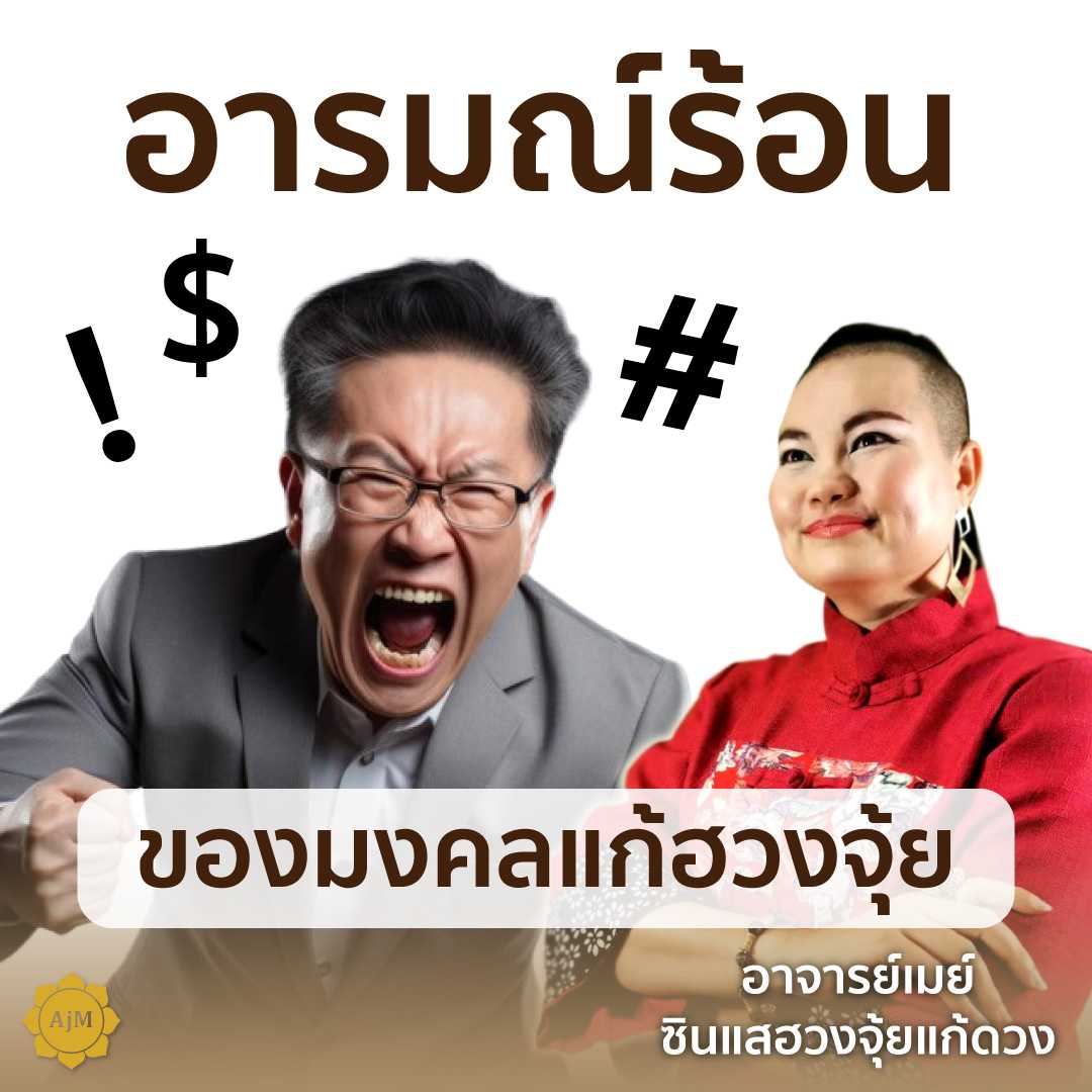 Ajanmay ของมงคล เสริมดวง โมบายฮวงจุ้ย สำหรับบ้านที่อารมณ์ร้อน หงุดหงิดง่าย เป็ด+นกคุ้ม