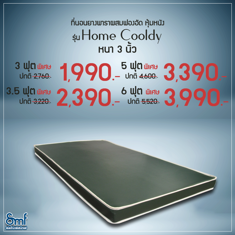 ที่นอน Home Cooldy
