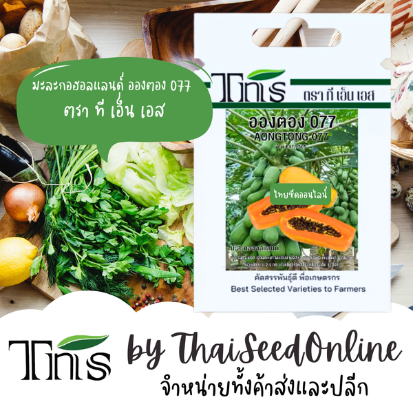 TNS(ทีเอ็นเอส) TNS เมล็ดพันธุ์แบบซองเล็ก มะละกอฮอลแลนด์ อองตอง077 ปริมาณ 0.5 กรัม ตรา ที เอ็น เอส...