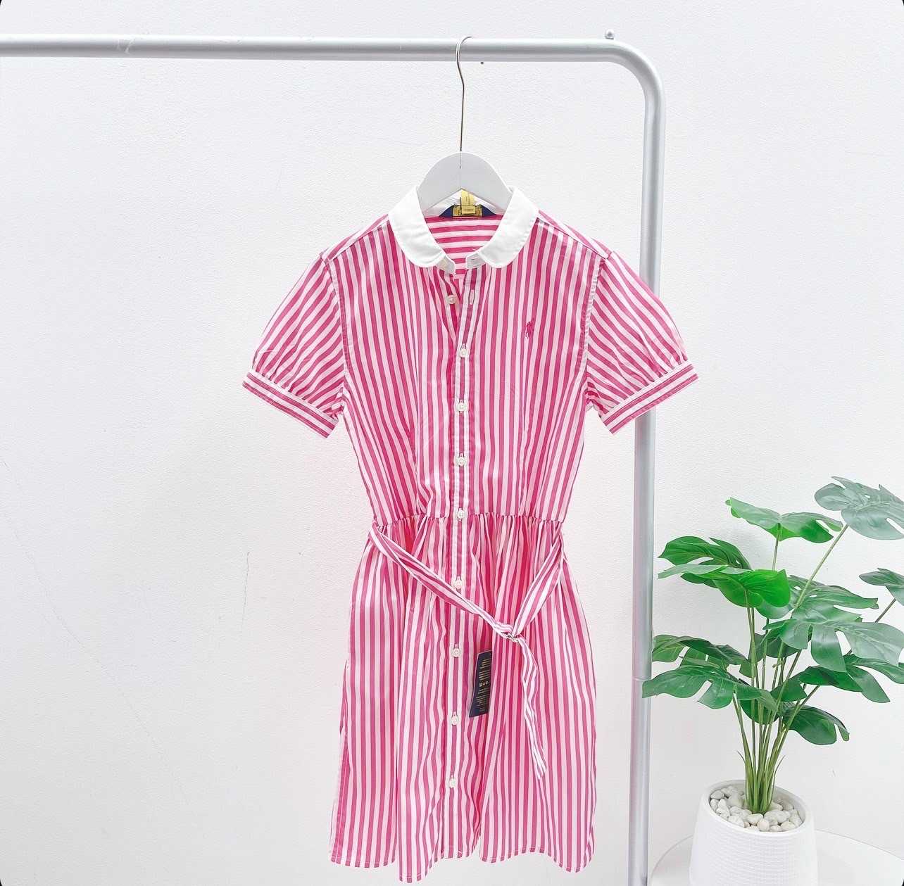 Ralph Lauren Belted Stripe Cotton Poplin Shirtdress (Pink/White)