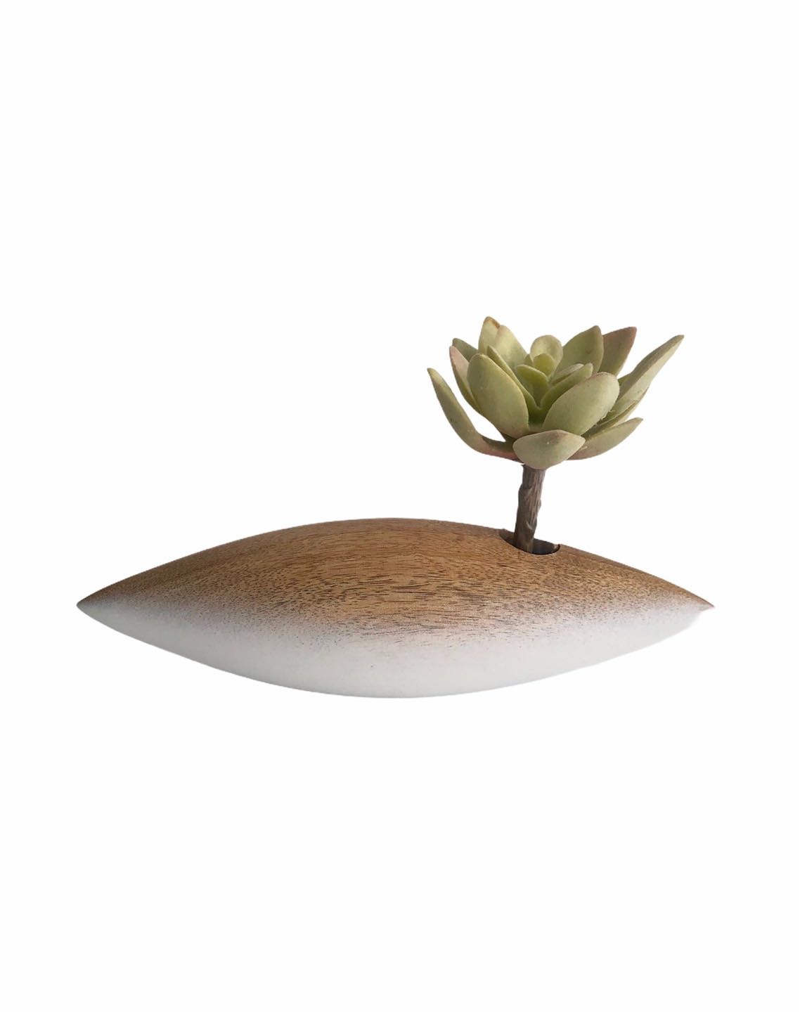 Vase Two Tone