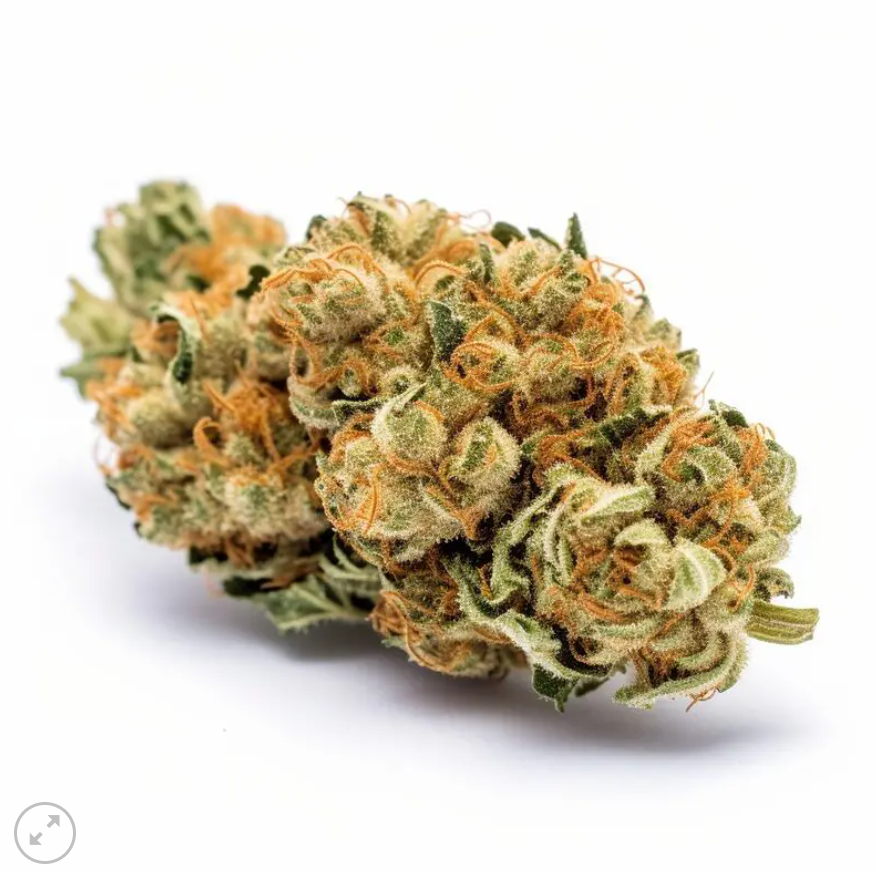 Super Lemon Haze Autoflower pack 3