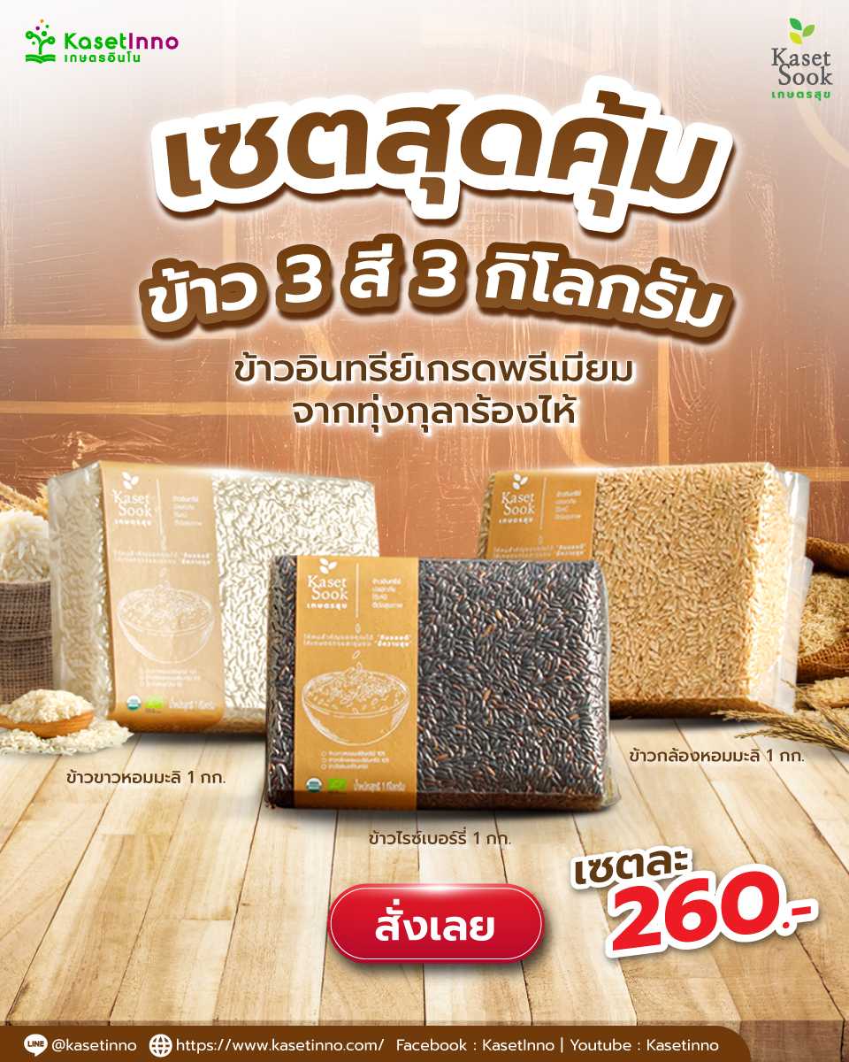 เซทสุดคุ้ม ข้าวอินทรีย์พรีเมี่ยม รวม 3 กิโลกรัม