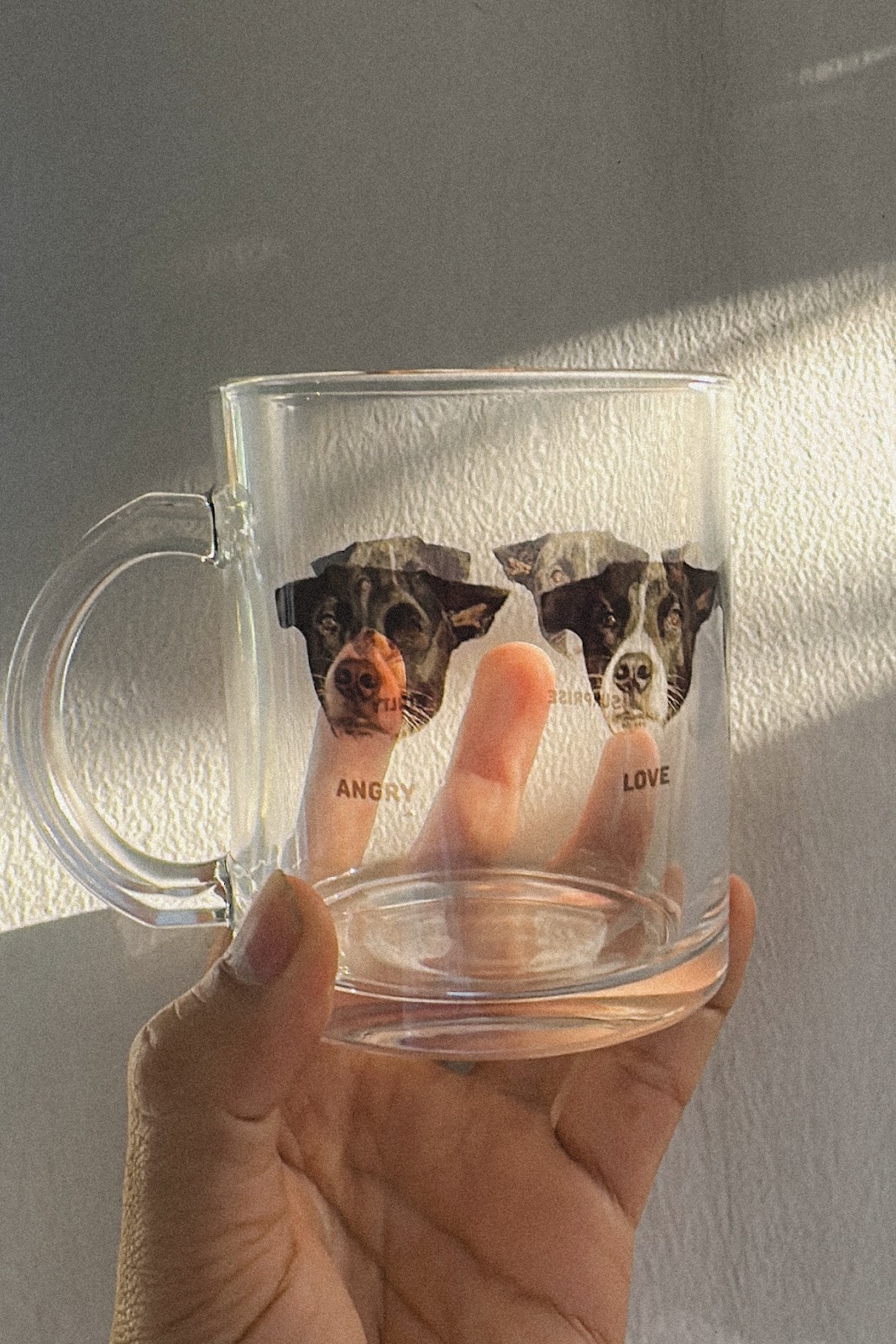 แก้วใสลายนมกล่อง