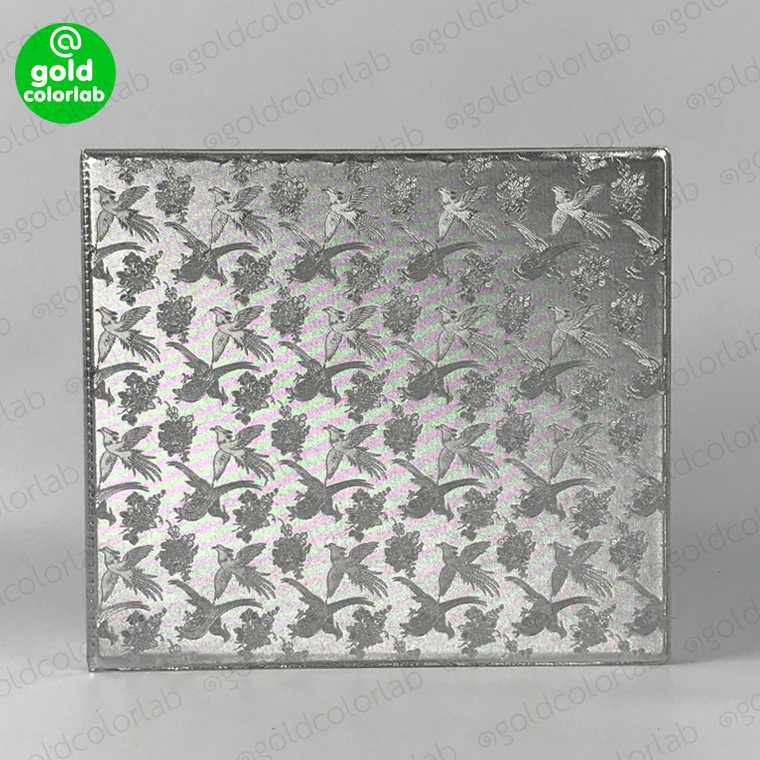 อัลบั้มธนบัตร สะสมแบงค์ สมุดสะสมธนบัตร ลายนก สีเงิน Banknotes Collection Album – Silver bird cover