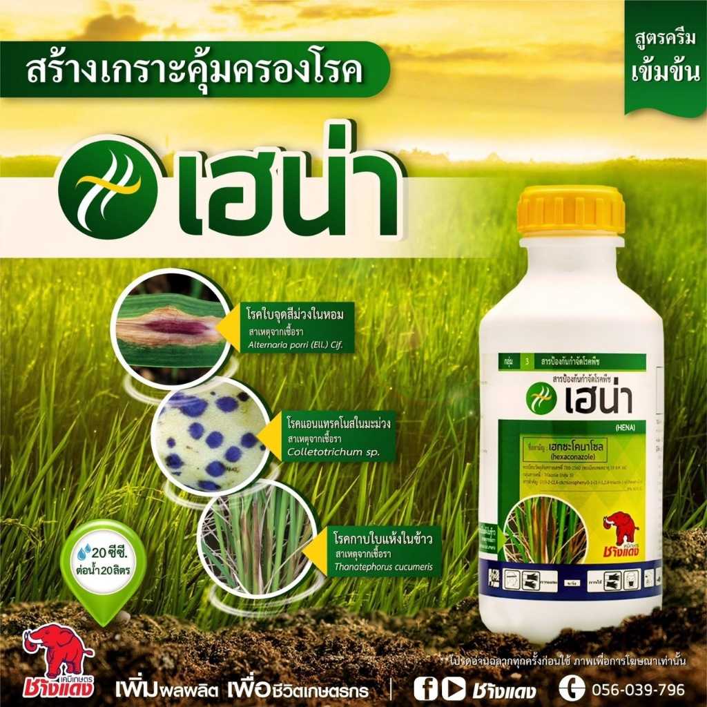เฮน่า - เฮกซะโคนาโซล 5% เอสซี ขนาด 1 ลิตร ป้องกันกำจัดโรคเมล็ดด่างโรคราแป้ง