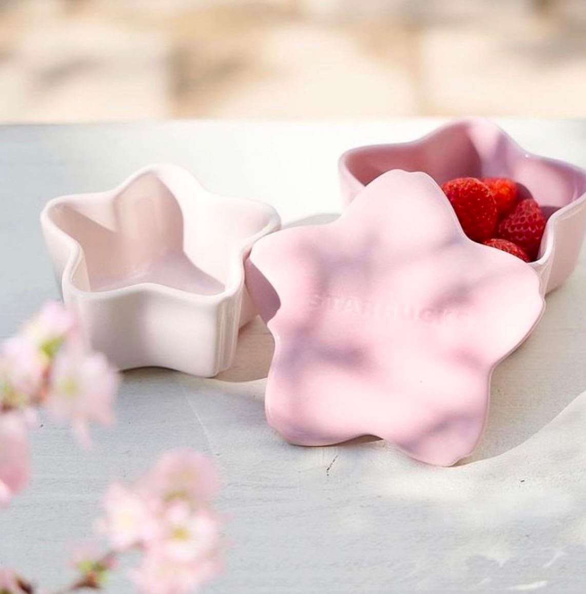 Starbucks Japan  Sakura Stacking Ceramic Case