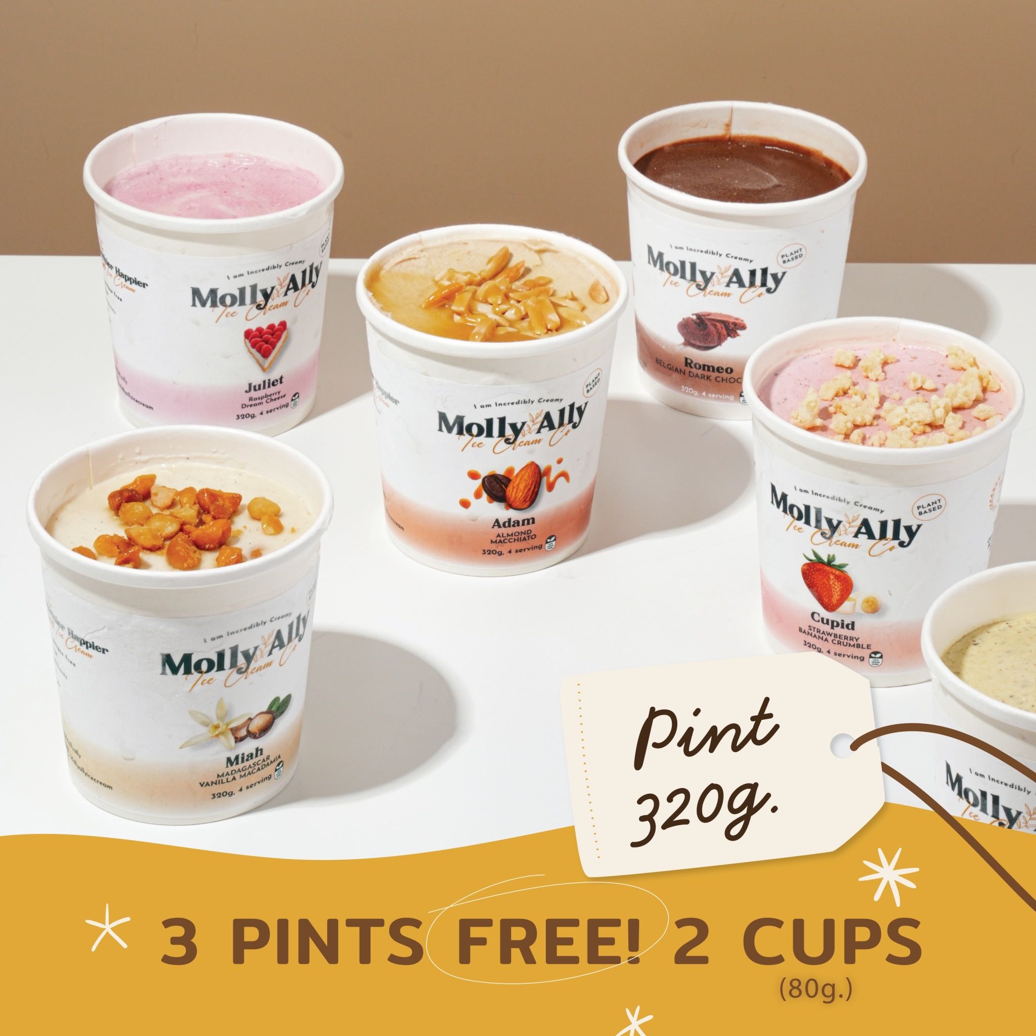 🍧🎄 Molly Ally Gift Set Ice Cream 3 Pints Free 2 Cups🎁💖
