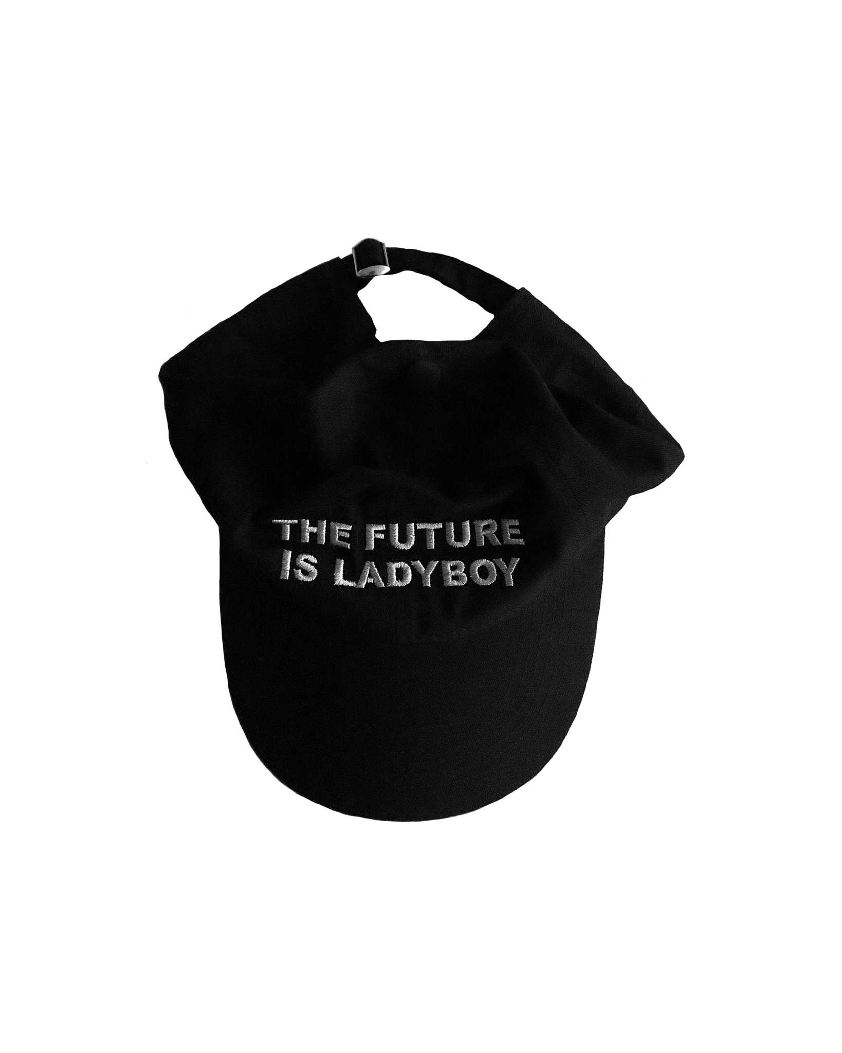 The Future is Ladyboy Cap With Gray Logo